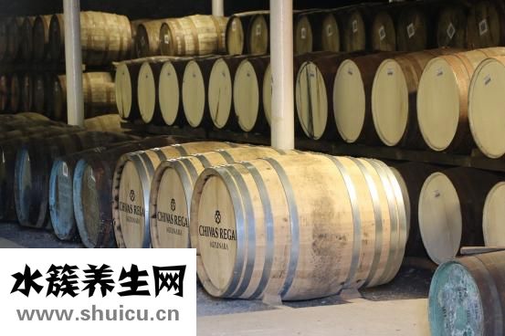 心脏支架图片大全