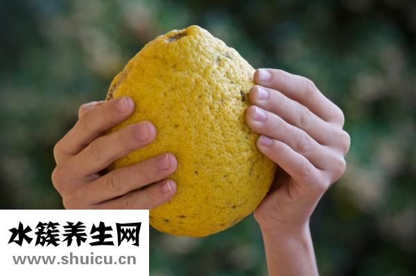孕妇能吃百合吗