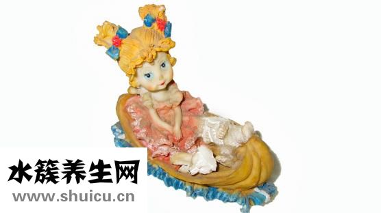 娃娃菜图片