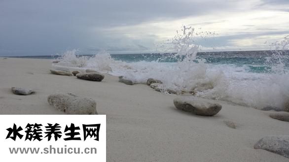 新型抗凝药
