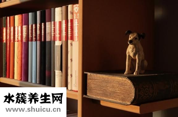 孕妇能吃阿胶糕吗
