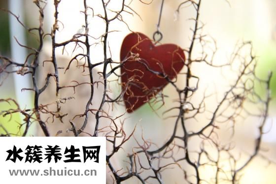 心脏消融手术