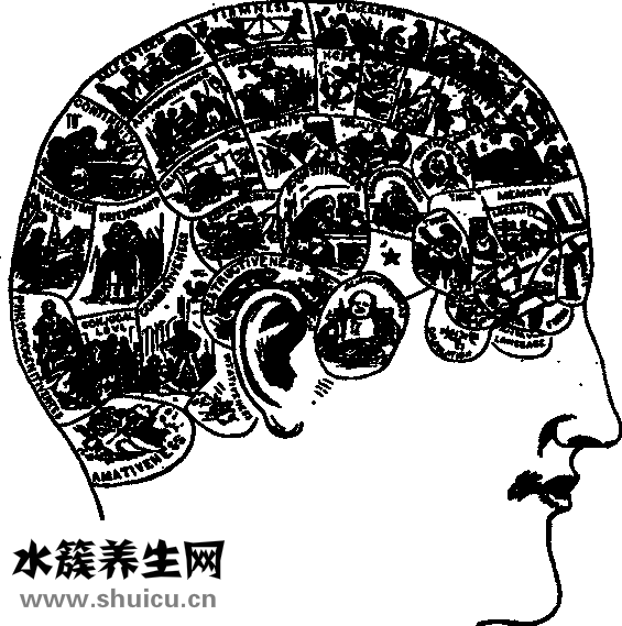 心脑供血不足