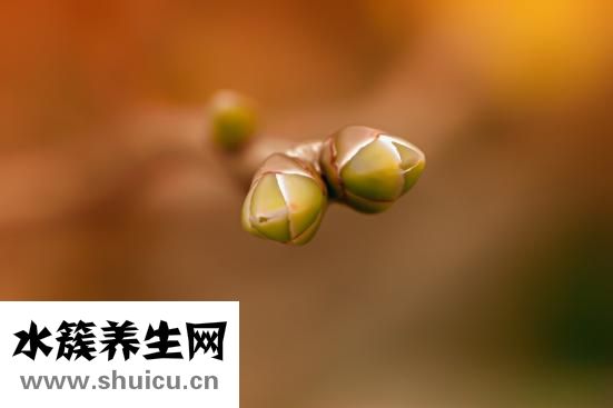 卫生间清洁