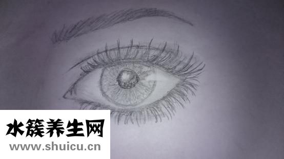 怎样去除眼部细纹