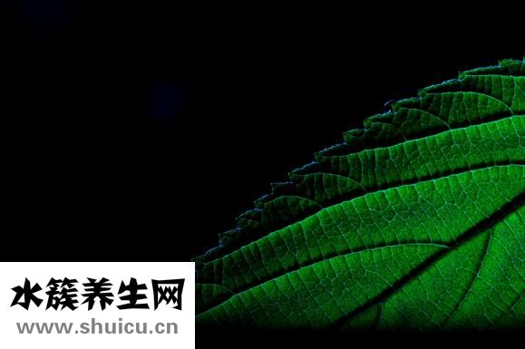 太阳穴在哪