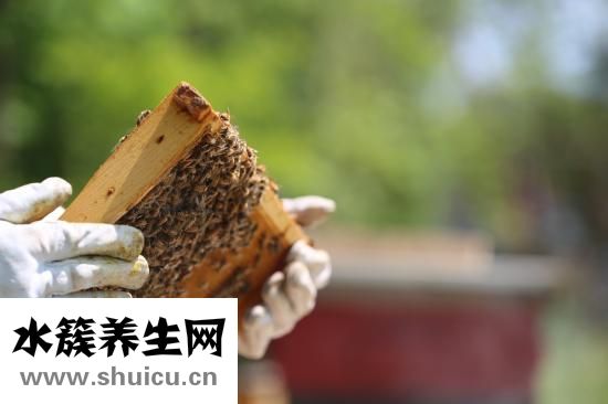 手划破了怎么止血
