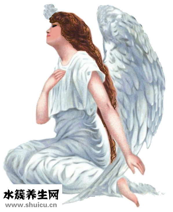 怎样去痘坑