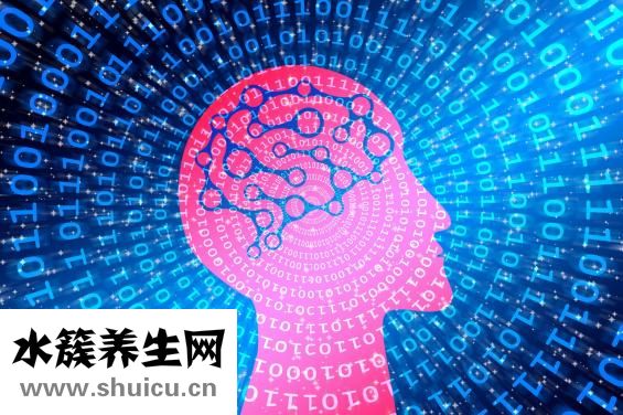 太阳穴在哪