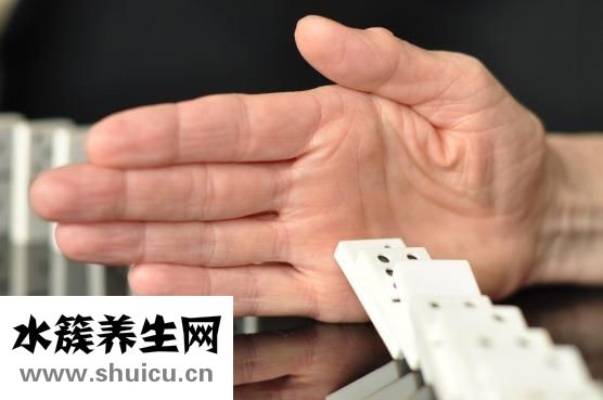 心脏和血管