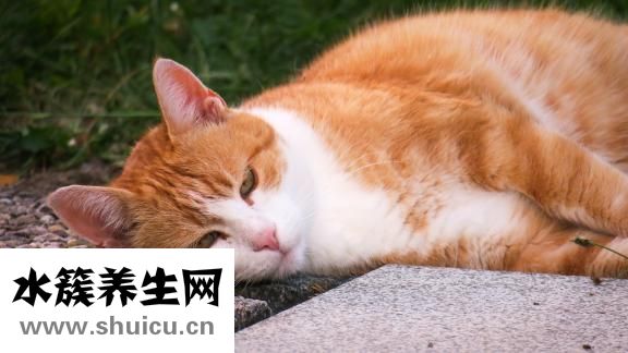晚上能剪指甲吗