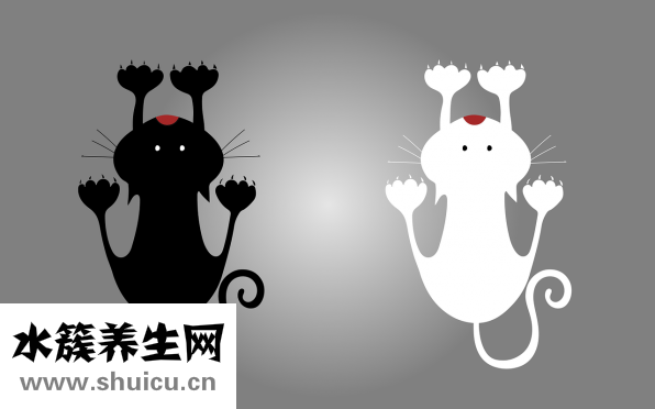 五指毛桃图片大全