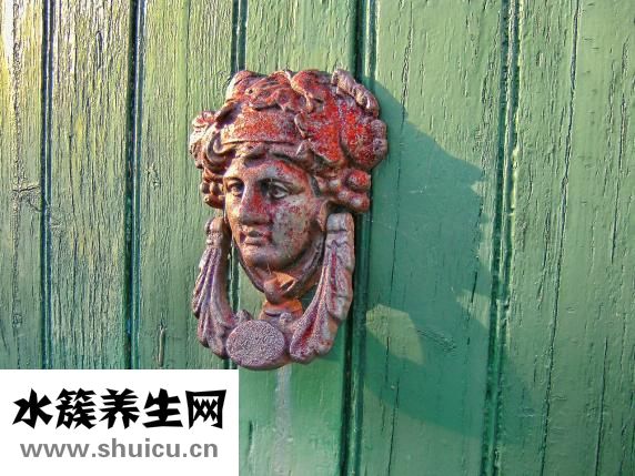 性取向强迫症