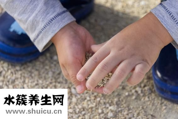 几个月做四维