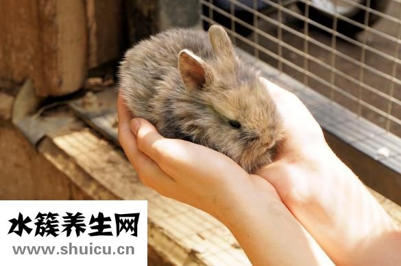 乐孕宁口服液