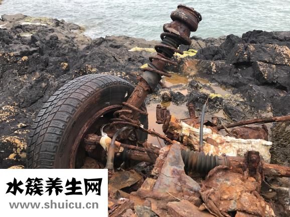 土豆营养成分