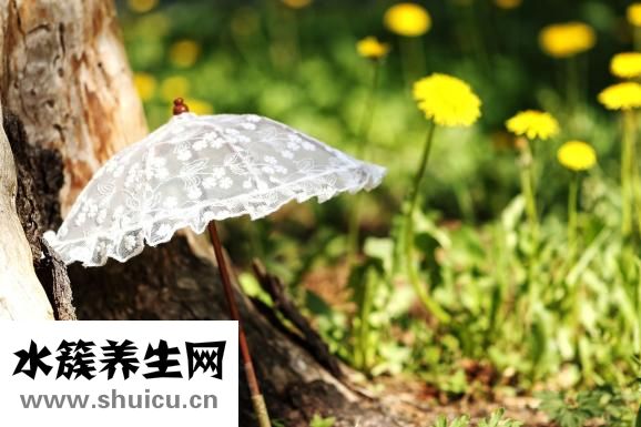 心脏挂什么科
