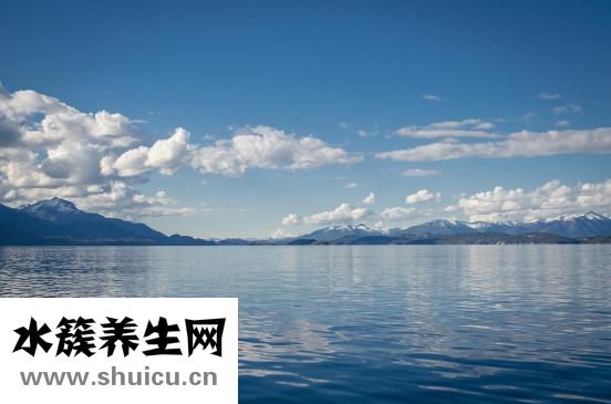 哺乳期能吃海参吗