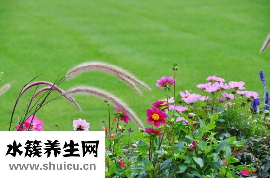 吞咽有梗阻感