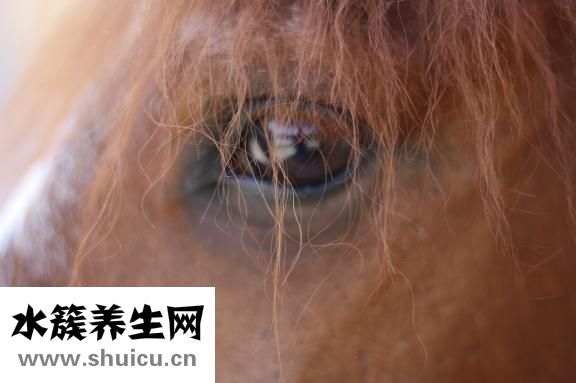 什么洗头膏好用