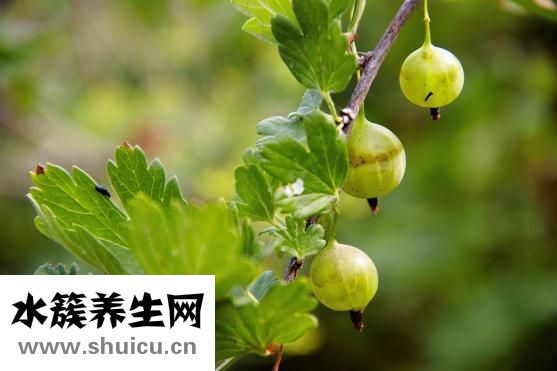 伤筋怎么治疗