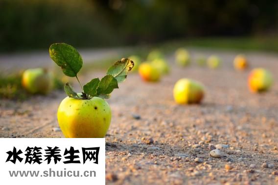 手肘黑怎么变白