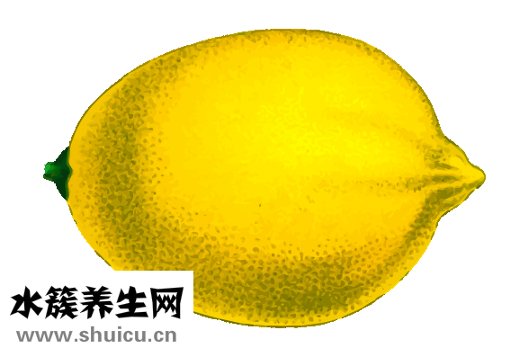 手肘黑怎么变白