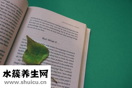 女性盆骨位置图