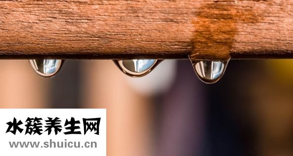五官长开与没长开图