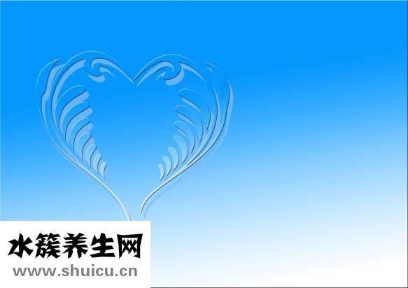 心脏构造图