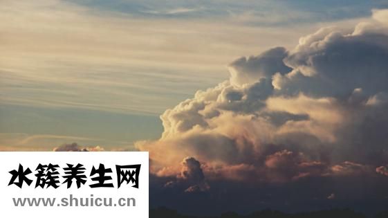 怎么晒萝卜干
