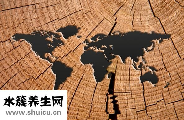 吸鼻器的用法