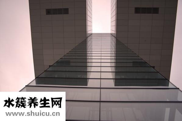 手掌对应五脏六腑图