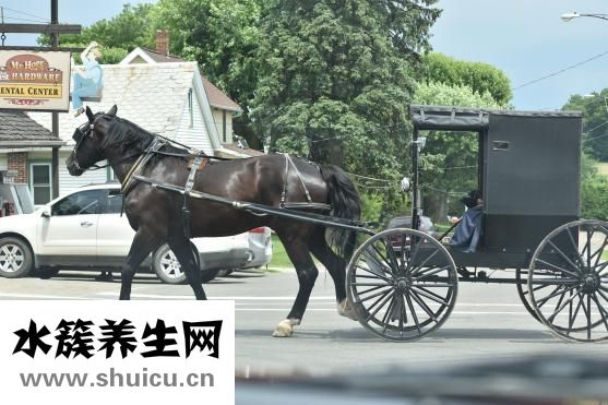 晚上可以吃橙子吗