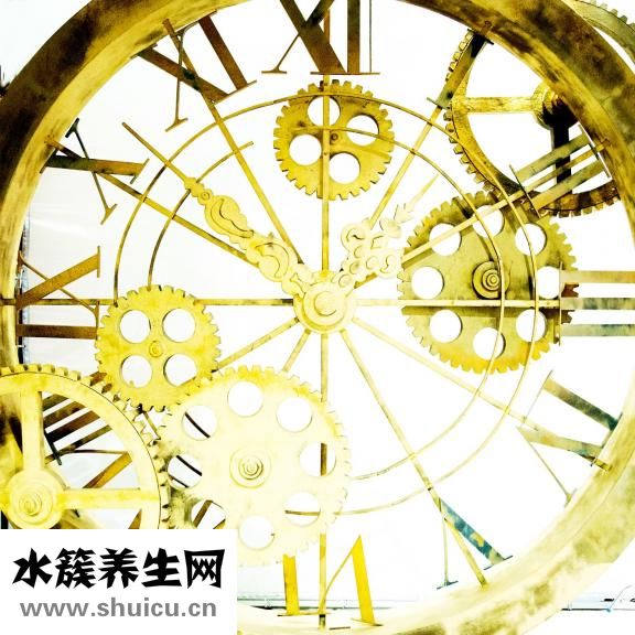 头晕是咋回事