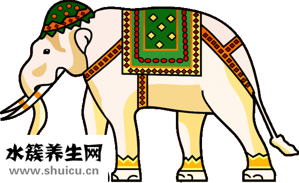 扁桃体结石清理