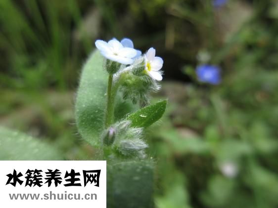 晚上老做梦