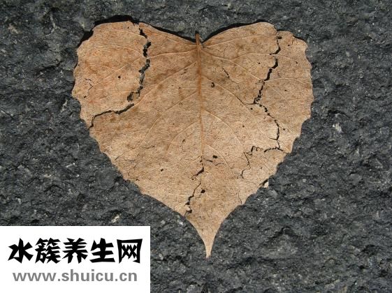 为什么会骨质增生