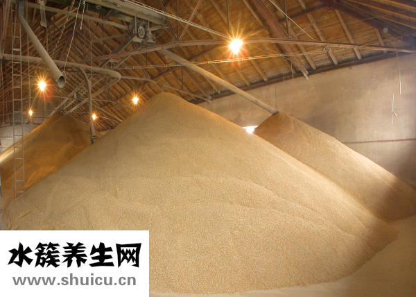 什么是麦芽糖