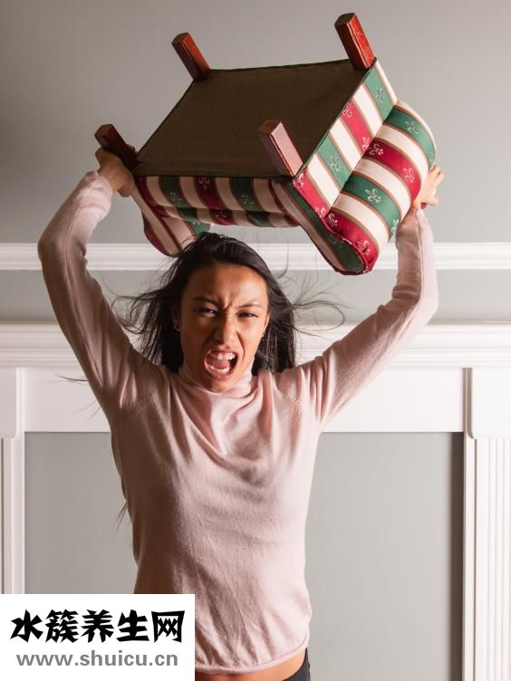 受精卵发育过程