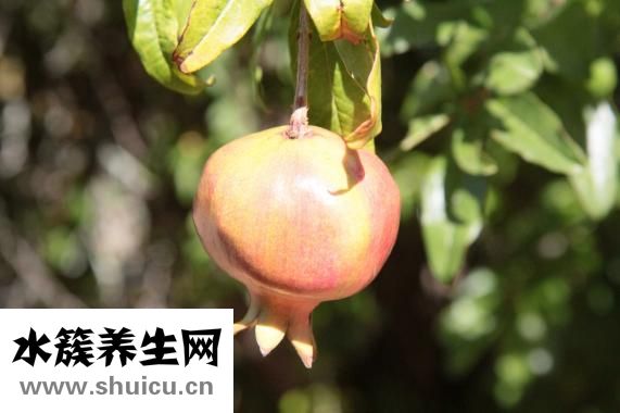 一碗白粥的热量