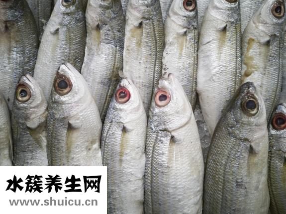 孕妇可以吃田鸡吗