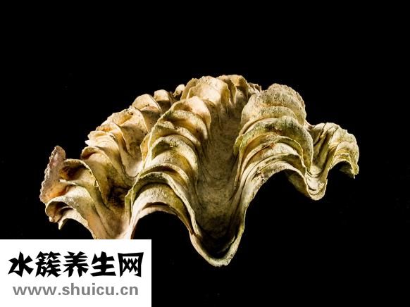 太阳能热水
