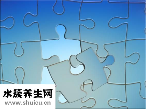 心脏血管分布图