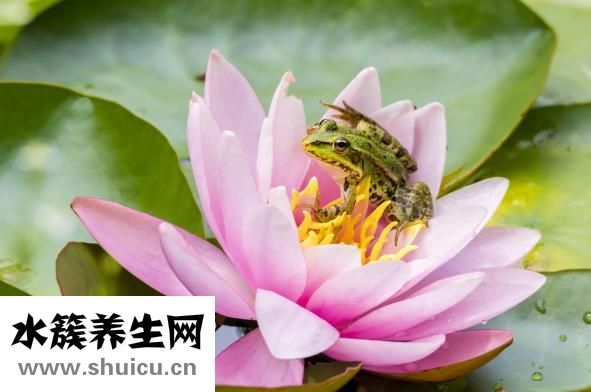 头昏是一种常见疾病患者应多注意发病原因