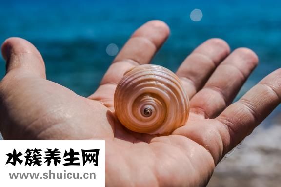 手掌有红点