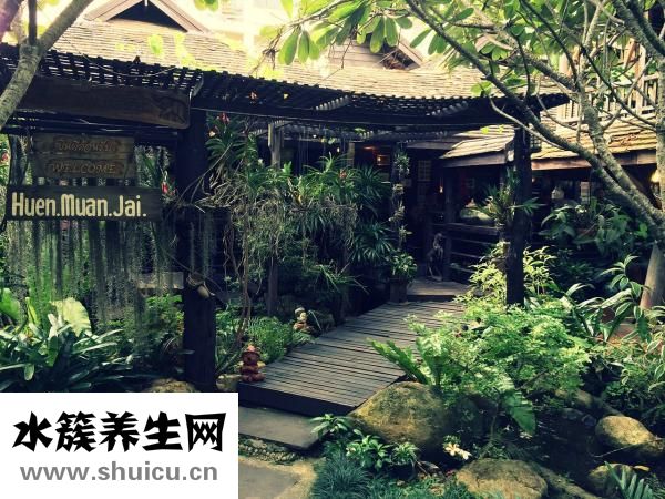 孕妇可以吃枸杞叶吗