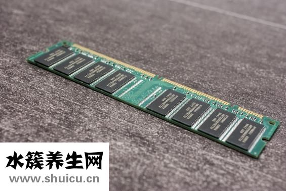 什么茶叶最贵