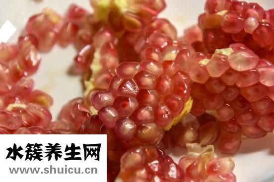 土豆是根还是茎