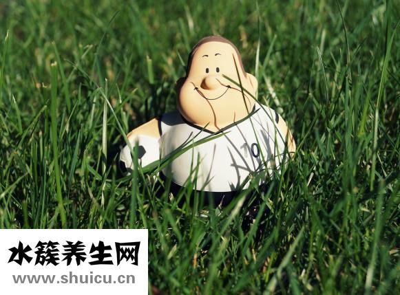 失眠多梦怎么调理